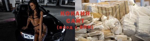 винт Абаза