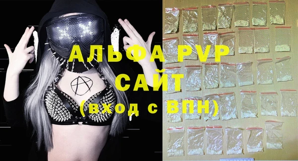винт Абаза