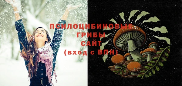 винт Абаза