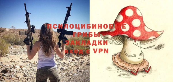 ешки Абинск