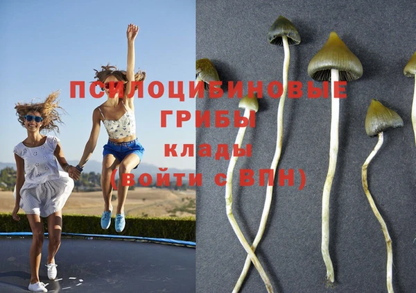 винт Абаза