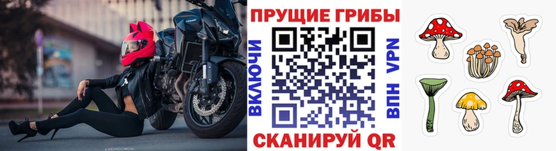 Псилоцибиновые грибы мицелий Зерноград