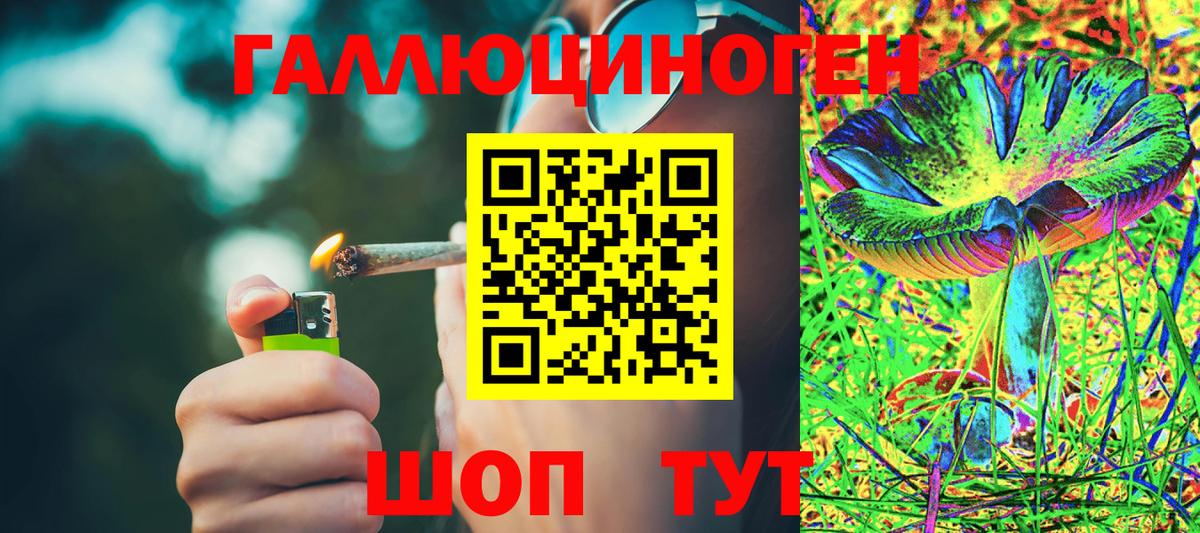 Зерноград  Галлюциногенные грибы Magic Shrooms  Вход с VPN 