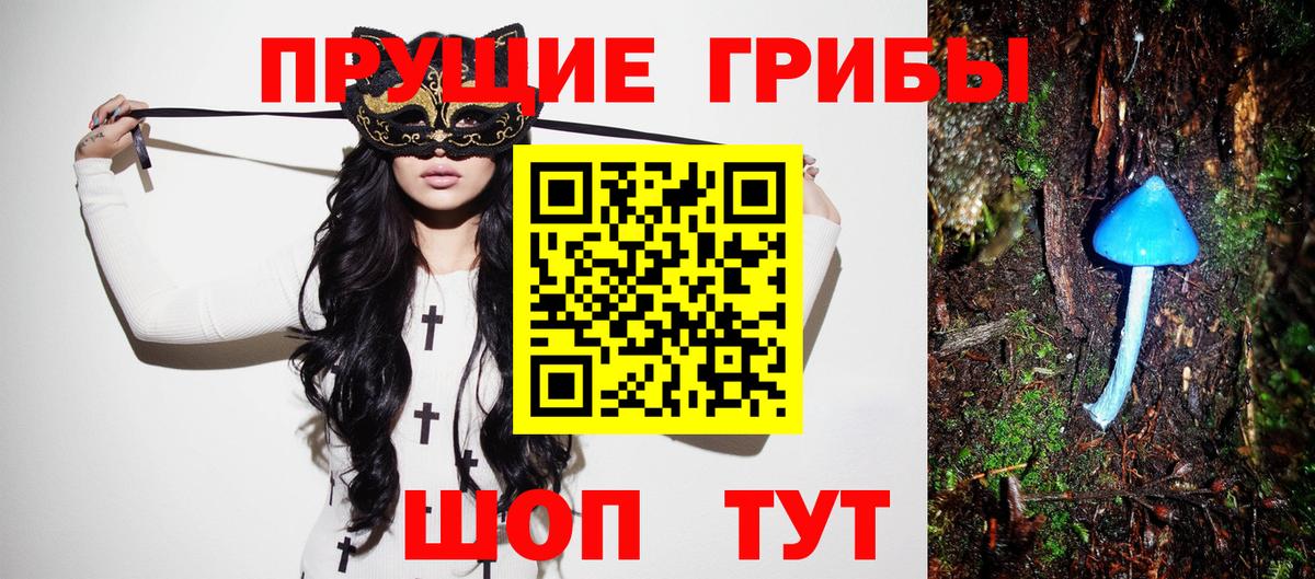 Псилоцибиновые грибы Cubensis Зерноград